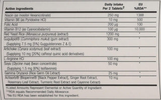 Cholesterol Maintenance  60ct