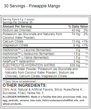 BCAA Re-Igniter 30 srv Cherry Margarita by Top Secret Nutrition